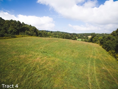 10 Acres for Sale at Absolute Auction in Copper Hill VA! - image 5