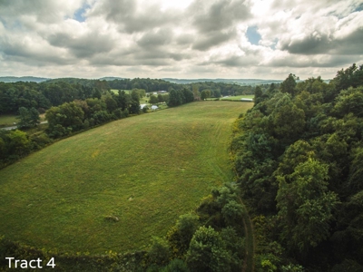 10 Acres for Sale at Absolute Auction in Copper Hill VA! - image 6