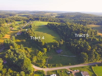 10 Acres for Sale at Absolute Auction in Copper Hill VA! - image 9