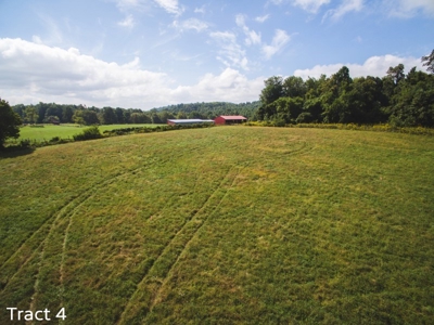 10 Acres for Sale at Absolute Auction in Copper Hill VA! - image 4
