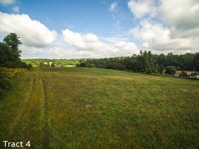 10 Acres for Sale at Absolute Auction in Copper Hill VA! - image 7