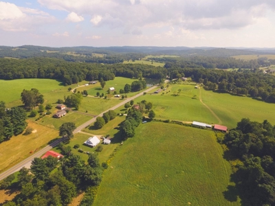 10 Acres for Sale at Absolute Auction in Copper Hill VA! - image 16