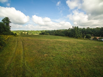 10 Acres for Sale at Absolute Auction in Copper Hill VA! - image 23