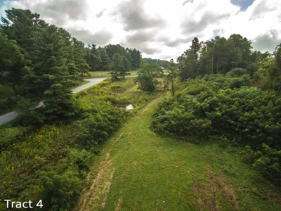 10 Acres for Sale at Absolute Auction in Copper Hill VA! - image 1
