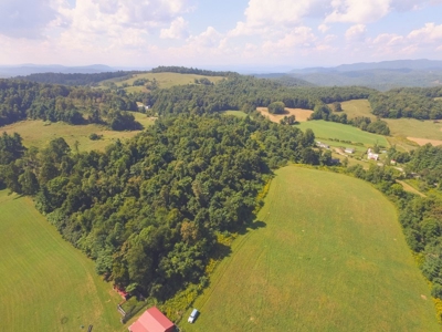 10 Acres for Sale at Absolute Auction in Copper Hill VA! - image 13