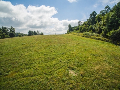 10 Acres for Sale at Absolute Auction in Copper Hill VA! - image 17