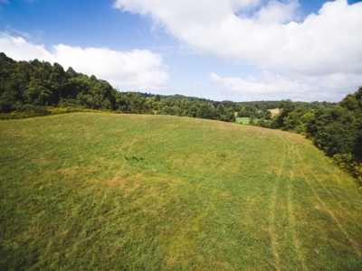 10 Acres for Sale at Absolute Auction in Copper Hill VA! - image 20