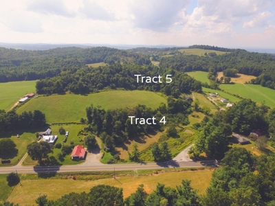 10 Acres for Sale at Absolute Auction in Copper Hill VA! - image 26