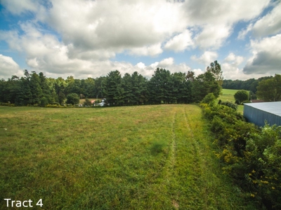 10 Acres for Sale at Absolute Auction in Copper Hill VA! - image 8