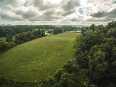 10 Acres for Sale at Absolute Auction in Copper Hill VA! - image 21