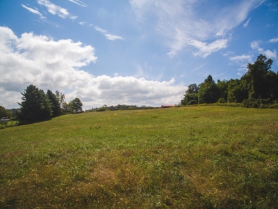 10 Acres for Sale at Absolute Auction in Copper Hill VA! - image 18