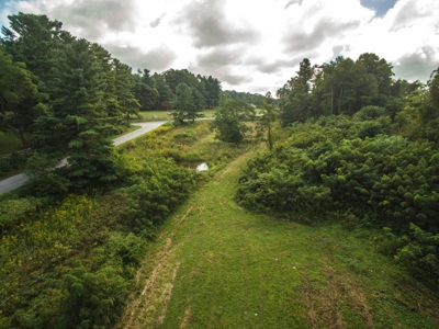 10 Acres for Sale at Absolute Auction in Copper Hill VA! - image 22