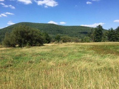 Delmar Township, Wellsboro, Tioga Cty., Property & Minerals - image 1