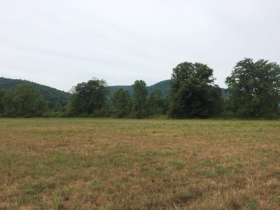 Delmar Township, Wellsboro, Tioga Cty., Property & Minerals - image 7