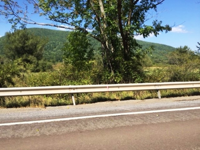 Delmar Township, Wellsboro, Tioga Cty., Property & Minerals - image 3