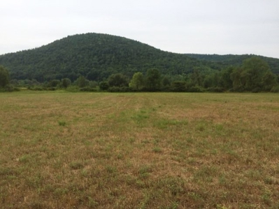 Delmar Township, Wellsboro, Tioga Cty., Property & Minerals - image 8