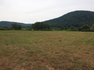 Delmar Township, Wellsboro, Tioga Cty., Property & Minerals - image 6