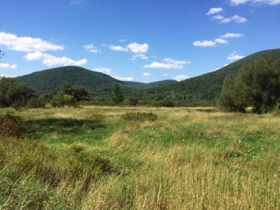 Delmar Township, Wellsboro, Tioga Cty., Property & Minerals - image 9
