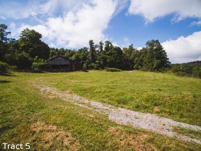 Absolute Auction of Farm Land in Copper Hill VA! - image 11