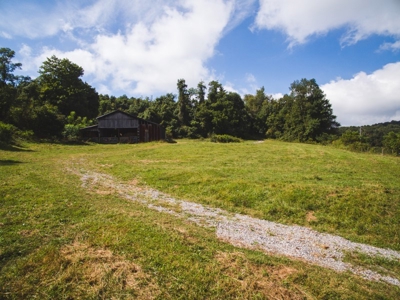 Absolute Auction of Farm Land in Copper Hill VA! - image 19