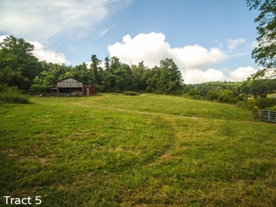 Absolute Auction of Farm Land in Copper Hill VA! - image 12