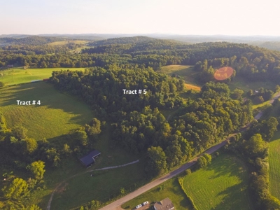 Absolute Auction of Farm Land in Copper Hill VA! - image 17