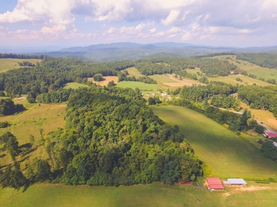 Absolute Auction of Farm Land in Copper Hill VA! - image 18