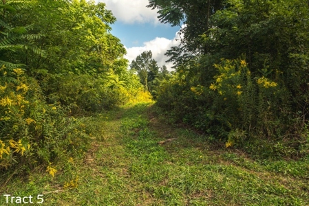 Absolute Auction of Farm Land in Copper Hill VA! - image 7