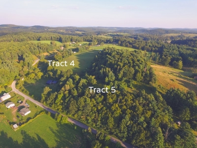 Absolute Auction of Farm Land in Copper Hill VA! - image 15