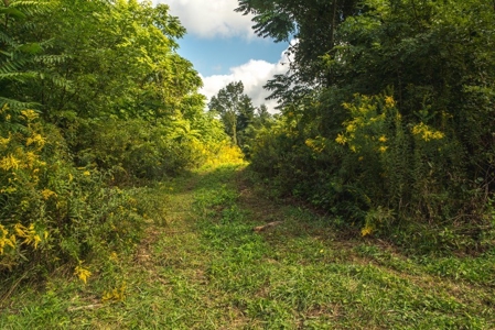 Absolute Auction of Farm Land in Copper Hill VA! - image 2