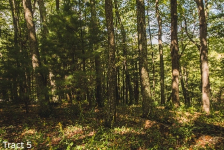 Absolute Auction of Farm Land in Copper Hill VA! - image 4