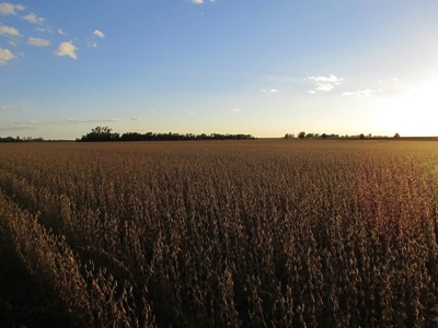 SOLD! Tract 1 $7100/Ac, Tract 2 $4500/Ac, Tract 3 $2450/Ac - image 6