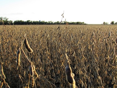 SOLD! Tract 1 $7100/Ac, Tract 2 $4500/Ac, Tract 3 $2450/Ac - image 1