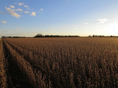 SOLD! Tract 1 $7100/Ac, Tract 2 $4500/Ac, Tract 3 $2450/Ac - image 5