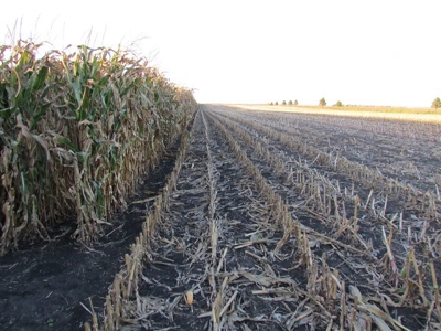 SOLD! Tract 1 $7100/Ac, Tract 2 $4500/Ac, Tract 3 $2450/Ac - image 7
