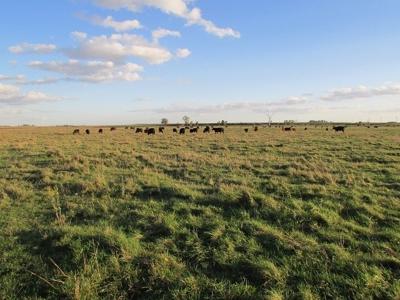 SOLD! Tract 1 $7100/Ac, Tract 2 $4500/Ac, Tract 3 $2450/Ac - image 2