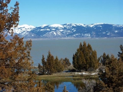 3 Parcels With Frontage On Goose Lake - image 6