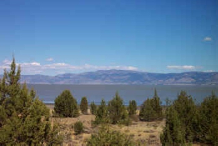 3 Parcels With Frontage On Goose Lake - image 15