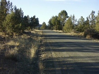 3 Parcels With Frontage On Goose Lake - image 18