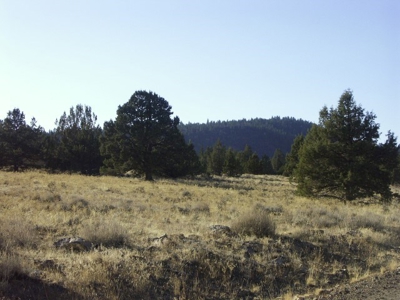 3 Parcels With Frontage On Goose Lake - image 36