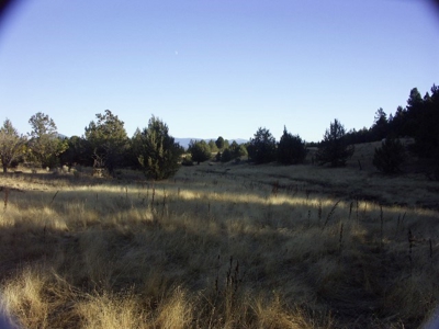 3 Parcels With Frontage On Goose Lake - image 21