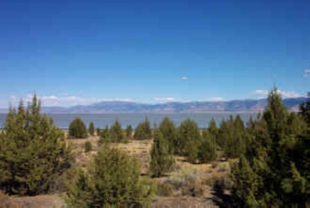 3 Parcels With Frontage On Goose Lake - image 12