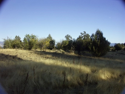 3 Parcels With Frontage On Goose Lake - image 22