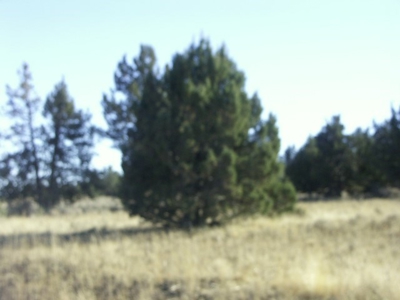 3 Parcels With Frontage On Goose Lake - image 35