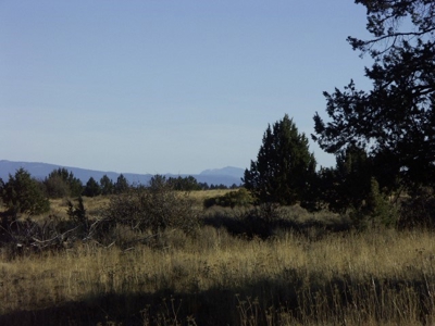 3 Parcels With Frontage On Goose Lake - image 31
