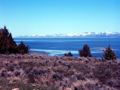 3 Parcels With Frontage On Goose Lake - image 8