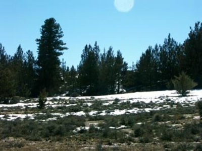 3 Parcels With Frontage On Goose Lake - image 4