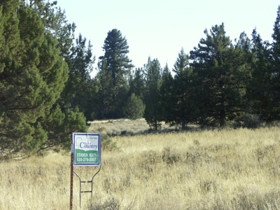 3 Parcels With Frontage On Goose Lake - image 30
