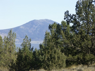 3 Parcels With Frontage On Goose Lake - image 33