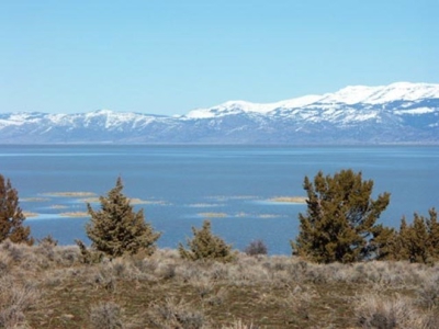 3 Parcels With Frontage On Goose Lake - image 13